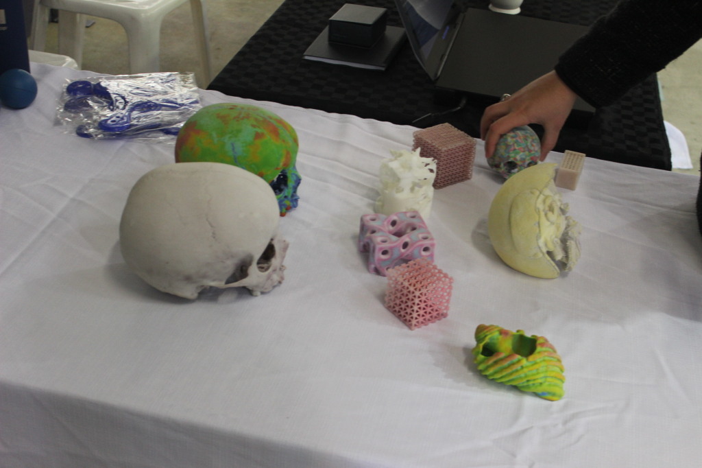 Some 3D printed skulls at Science in ACTion