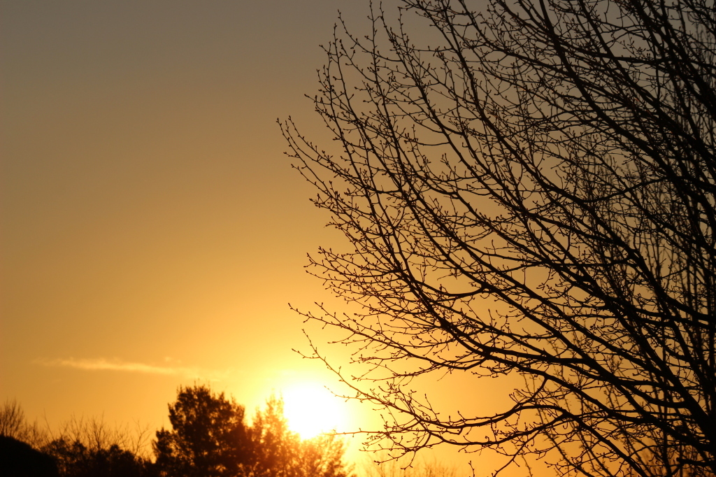 Canberra Sunset